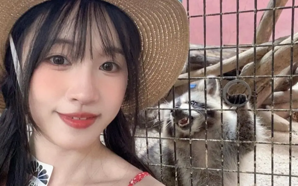 苏畅在线观看全集免费观国产女神苏畅