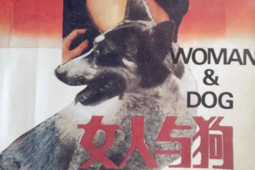 《女人与狗》俄罗斯电影在线观看-高清完整版无删减-女人与狗全网同步免费播放