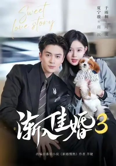 《渐入佳婚3》全季无删减版在线看-高清免费观看完整版《渐入佳婚3》-短剧1080P全网同步更新