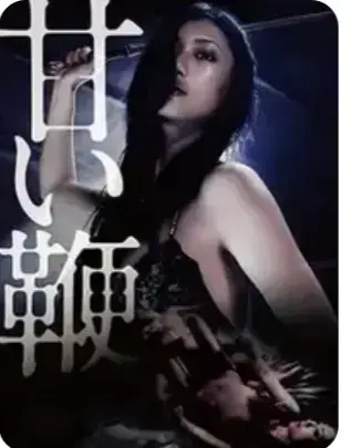 《甜蜜皮鞭》未删减版全集免费看-高清在线播放《甜蜜皮鞭》1080P-中文字幕网盘资源下载