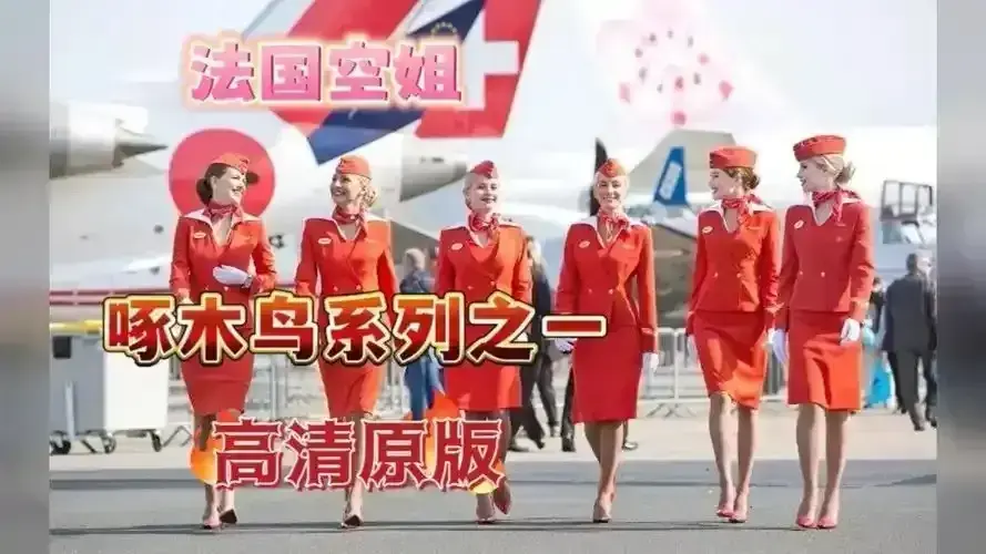 《法国空姐2019/不雅空乘》《法国航空/法国空姐》相关资源图片