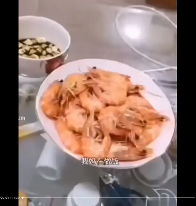 《大虾母子厨房完整版》高清视频在线观看 猎奇视频免费看 带你了解完整版来龙去脉