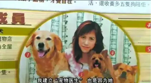 《女人与狗》未删减版全集免费看-欧美大片《女人与狗》HD高清画质在线播放-1080P超清正片中字流畅观影-支持网盘资源下载无广告