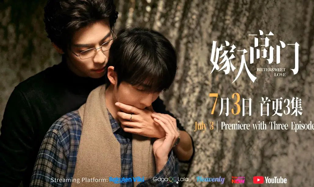 《嫁入高门的男人》22集全季完整版-2026新剧《嫁入高门的男人》双男主1080P高清免费在线观看无删减