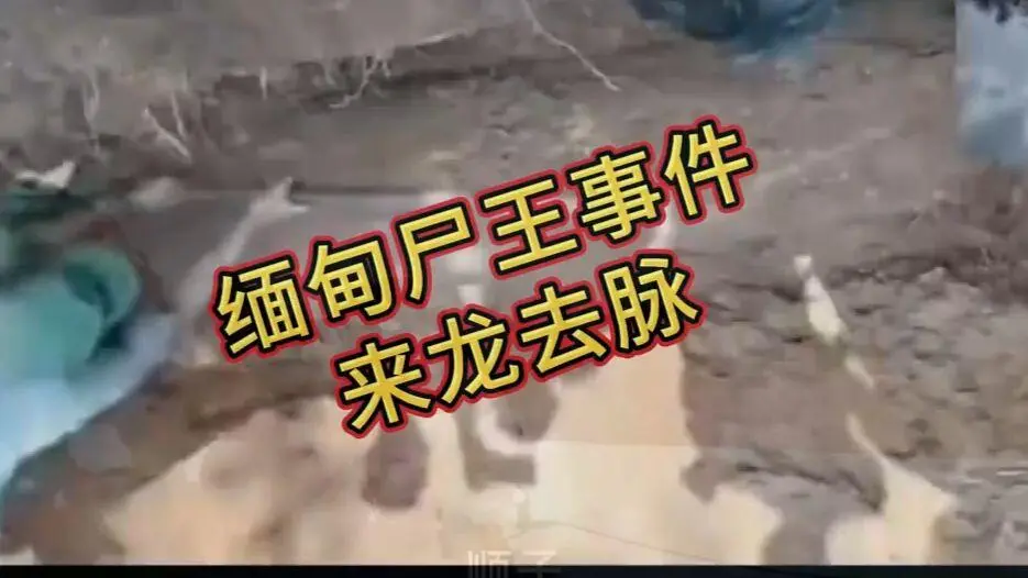 《缅甸僵尸出土事件视频》完整版资源下载 - 缅北僵尸出土事件始末原视频高清在线观看免费播放